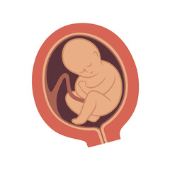 Baby in mother's womb.