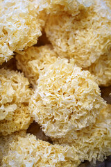 Sparassis mushroom. Dried sparassis mushrooms food background.