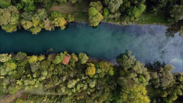 Field, lake and bridge from a bird's-eye view. Beautiful autumn. Drone video. Autumn forest and blue lake. Black river. Blue water. Ducks on the water. Autumn landscape. Gray fields. 