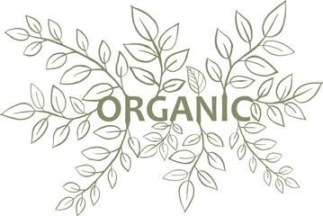 Organic product logo design vector template. leaf icon