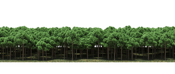 forest line, trees in the forest with grass and fallen leaves, isolated on white background, 3D illustration, cg render