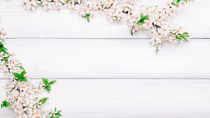 Spring blossom may flowers and April floral nature on wooden background. Branches of blossoming. For easter and spring greeting cards with copy space. Springtime. - obrazy, fototapety, plakaty