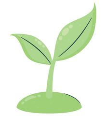 green plant design