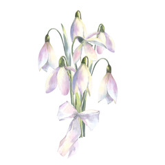 Obraz premium Watercolor spring flowers bouquet of snowdrops with bow. Hand painted botanical illustration.