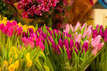 bouquets of spring tulip flowers, natural floral background