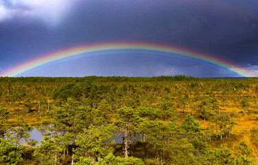 Nature before the storm.Warm summer day.The beauty of nature.Landscape of a national park with full rainbow in the sky before a thunderstorm.Heavy dark beautiful blue clouds and green grass and trees