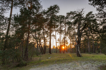 Coucher de soleil en Forêt d'Ermenonville en France
