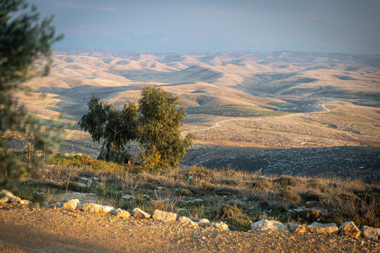 Old beguin cemetery graveyard ruins, hills mountain ridge scenic landscape view, Arif crater Negev desert, travel Israel nature.