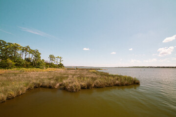 outer banks marsh in sound - Manteo, North Carolina, obx