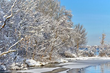 winter landscape, forest in the snow on the banks of the river