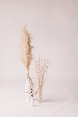 Obraz premium minimalist white vase and neutral plants