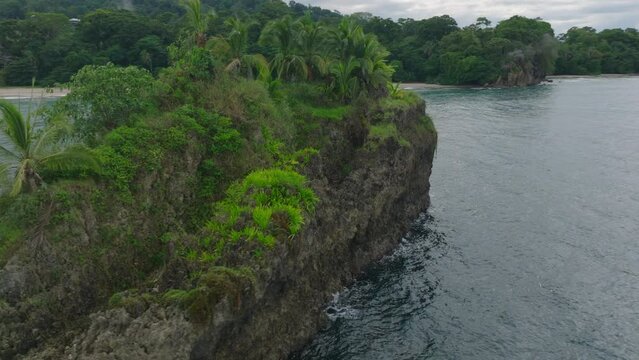 Orbit shot around rocks overgrown by lush green vegetation and palm trees. Isla Cocles near coast. Puerto Viejo, Costa Rica