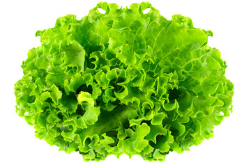 Obraz na płótnie Canvas fresh green salad on transparent background