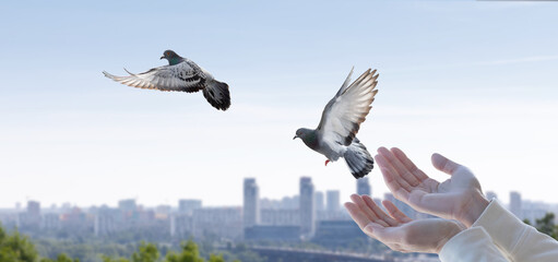The concept of a prayer of hope in the form of flying doves .