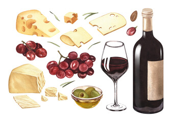 Watercolor wine and cheese. Bottle, wineglass, grapes and different cheese. Hand-drawn illustration isolated on white background. Concept for wine list, label, banner, menu, flyer, brochure template.