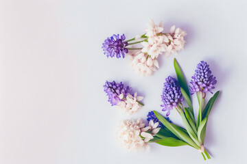 Hyacinth Flower Background - Fragrant hyacinth flowers against a warm beige background - Generative AI technology