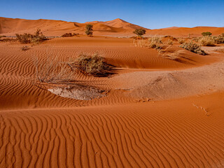 Fototapeta na wymiar Namibie, le désert du Namib