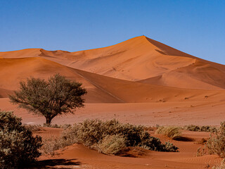 Obraz na płótnie Canvas Namibie, la dune 45