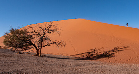 Fototapeta na wymiar Namibie, la dune 45