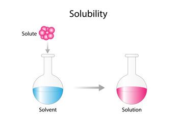 Solutions. Solubility homogeneous mixture. Solute, solvent and solution. Dissolving solids. Chemistry. Educational diagram. Conical flask, isolated on white background. Vector illustration.