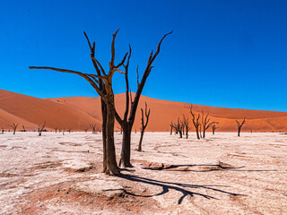 Namibie, Sossuvlei et Deadvlei