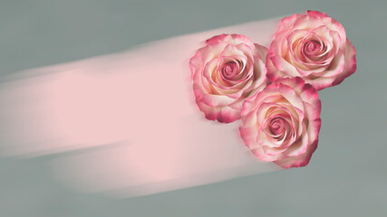 Three abstract roses on a gray background