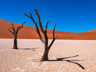 Namibie, Sossuvlei et Deadvlei