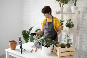 Relaxing home gardening. Smiling middle aged woman in black gloves with potted plant records gardening video blog in modern house - blogging and florist vlog influencer copy space and empty place for