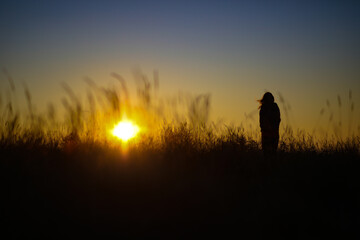 Fototapeta premium silhouette of a person in the sunset