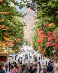 Beautiful autumn scene at Toyko, Japan	
