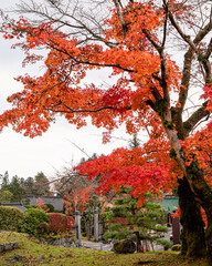 Beautiful autumn scene at Toyko, Japan	