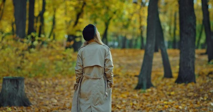 girl walking in beautiful park in autumn, rear view of strolling woman in nature, 4K, Prores