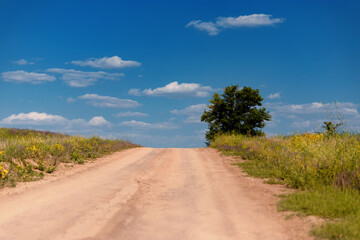 Fototapeta na wymiar empty country road, between fields against blue sky and white clouds