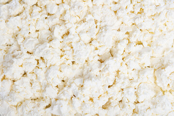 Curd close-up. Cottage cheese background.