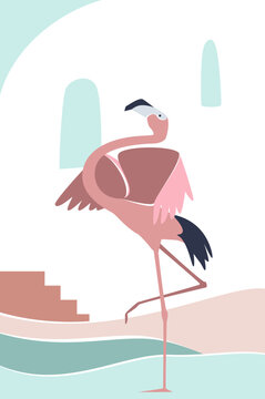 Tropical flamingo bird. African style portrait, wall decorative picture vector cartoon illustration