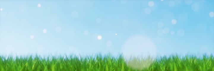 spring summer background with green grass and blue sky