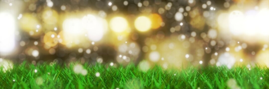 background with green grass and lights