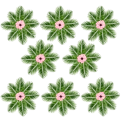 Foto op Plexiglas Palmen Blatt  mit  rosa Blüten mittelpunkt © FranzFK_