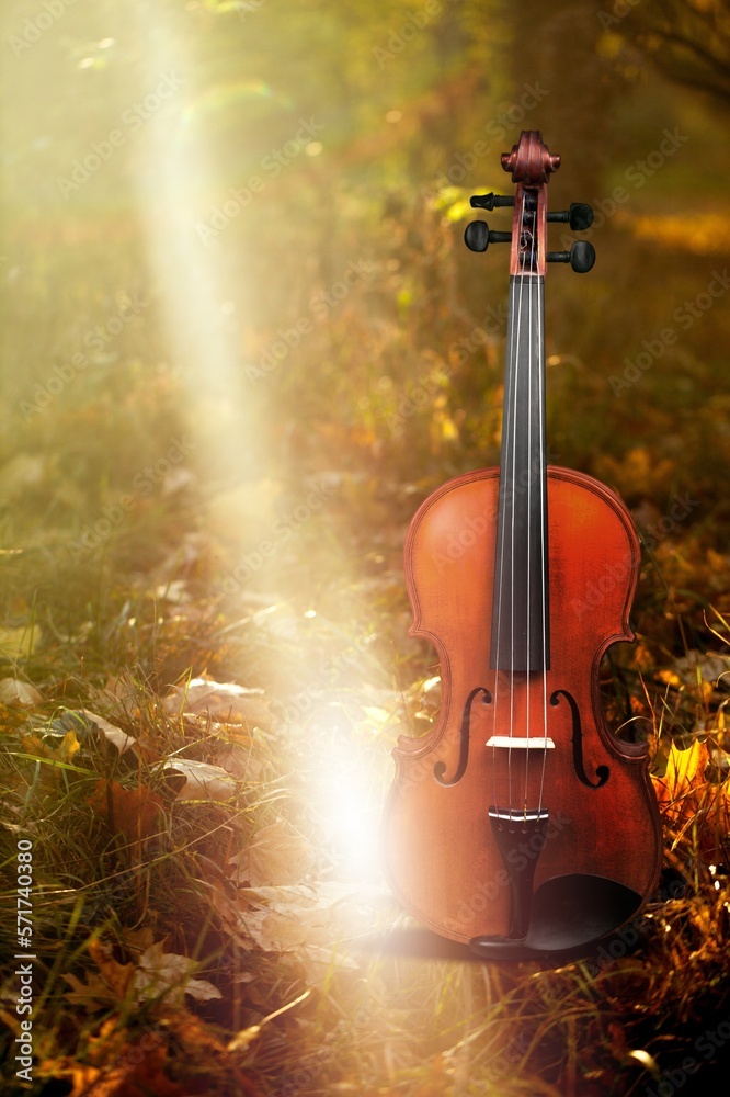 Sticker Violin musical instrument in autumn forest