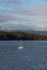 sailboat sailing in Morebys Island, british columbia, canada