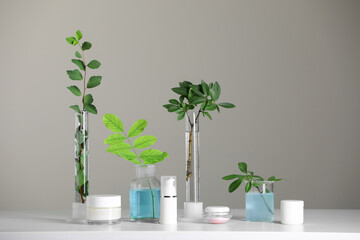Many containers and glass tubes with leaves on white table against light grey background