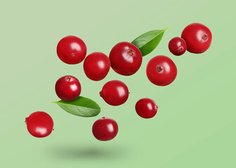 Delicious ripe cranberries and fresh leaves flying on pale light green background