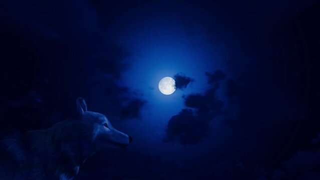 Wolf Howling Moon 3D Video Animation