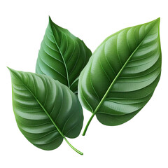 a realistic colorful leaf digital illustration, clear background, png, generative ai