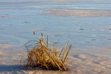 Kendrick Lake Park in Denver, Colorado. Iced lake at sunset with the snow and dry grass on the foreground