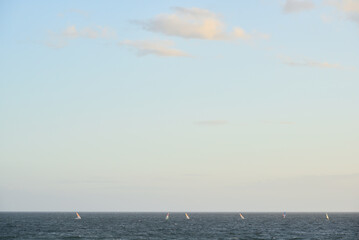 Tokyo Bay coast in sunny summer