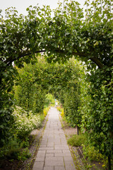 Garden path with fruit tree arches