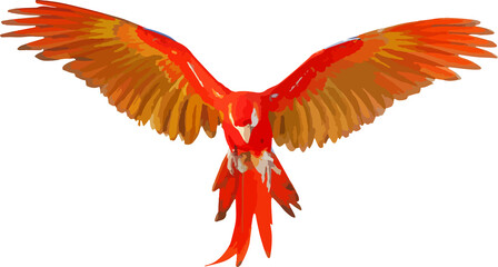 Colorful macaw parrot isolated on transparent background. Vector illustration png file