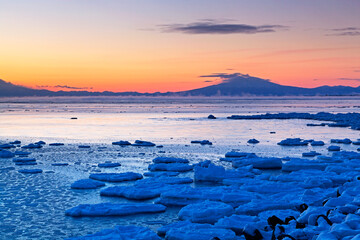 斜里岳の朝焼けと流氷（網走市） © itoh masako