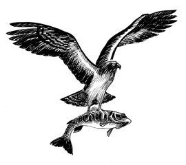 Eagle with fish. Ink black and white drawing